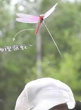 钓鱼不怕挨咬啦，蚊虫退退退发夹
