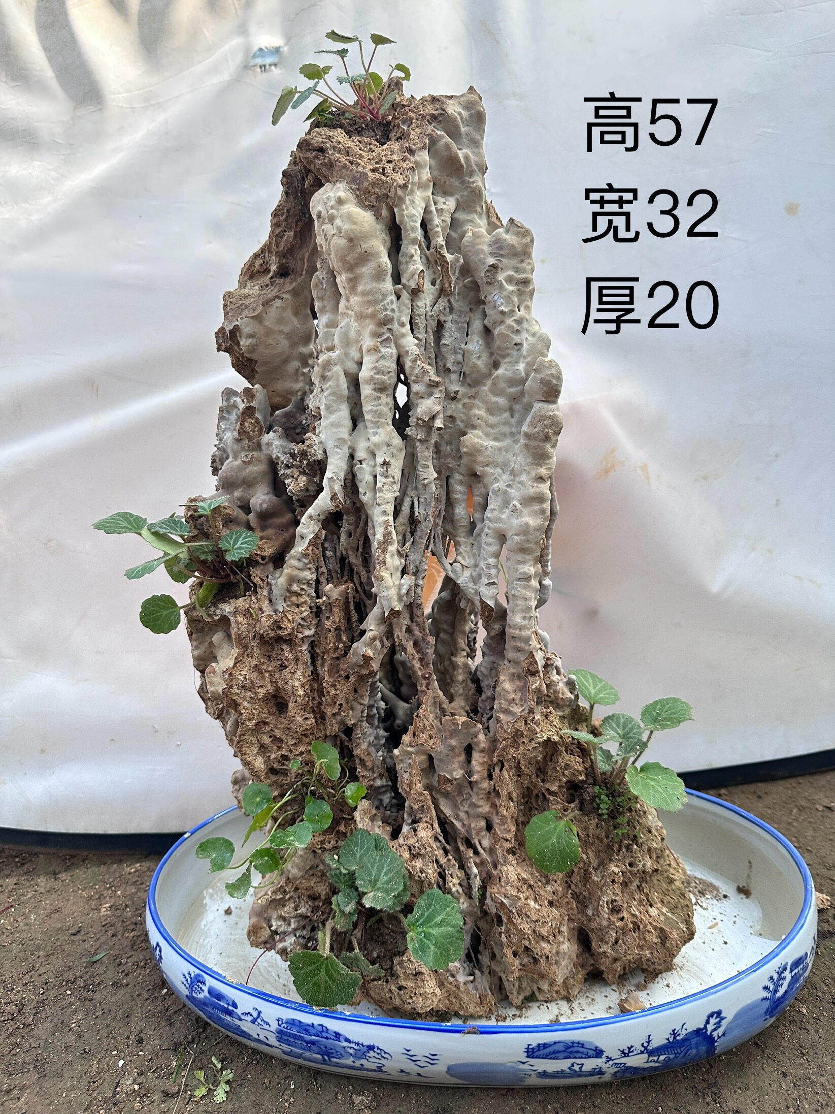 天然上水石奇石芦管石钟乳石盆景假山原石观赏石微景观园艺装饰石