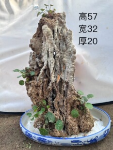 天然上水石奇石芦管石钟乳石盆景假山原石观赏石微景观园艺装饰石