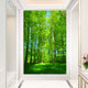 大森林树林绿色草地自然风景装 饰画护眼墙壁挂画树木过道玄关贴画