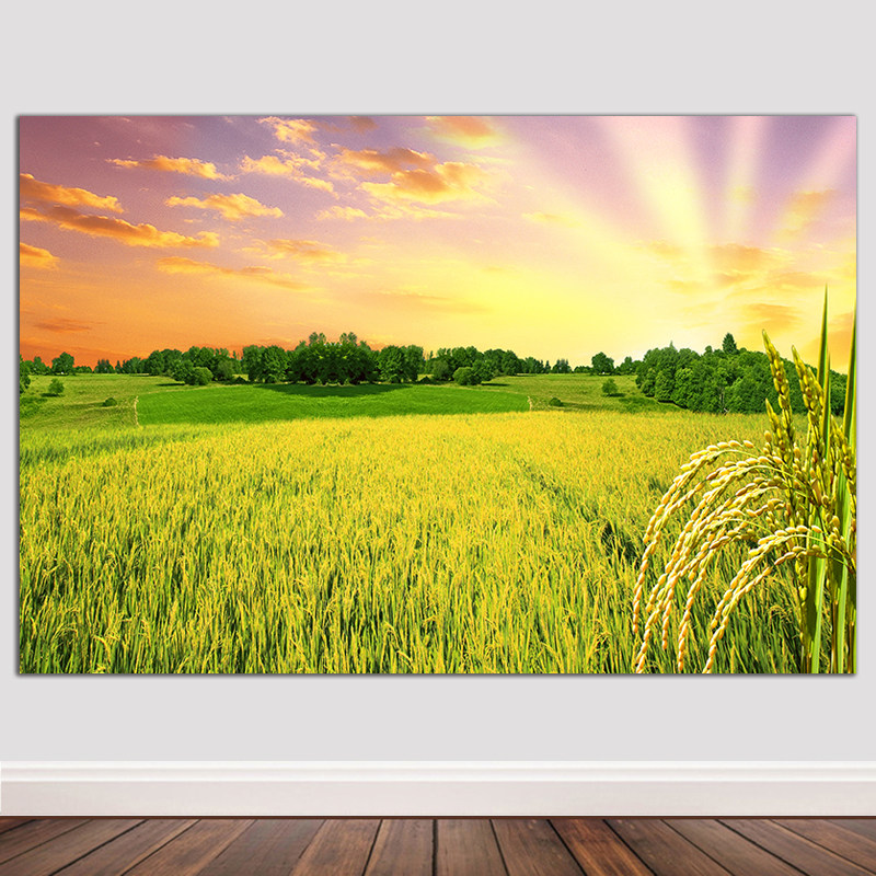 田园乡村画稻田稻穗麦田风光五谷丰登意境唯美餐厅饭店风水镇宅画