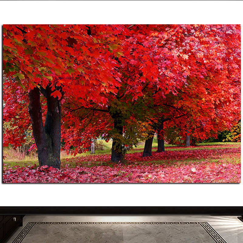 森林风景海报画枫树林红枫叶落叶自然美丽景色装饰墙贴画挂画f537