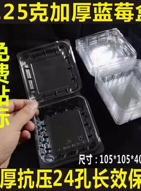125g克一次性加厚透明塑料蓝莓盒子树莓桑葚杨梅枸杞有盖包装盒子