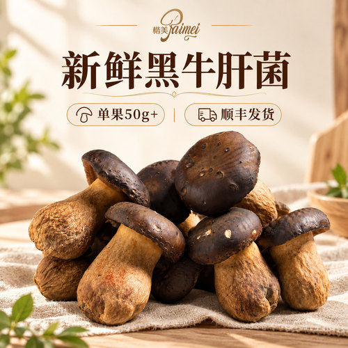 云南新鲜黑牛肝菌500g煲汤炒菜鲜