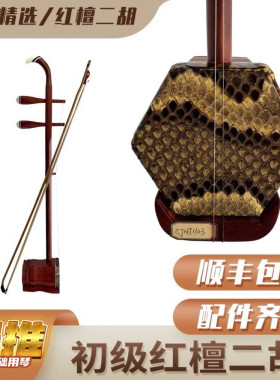 弦音精选传统二胡初学者红木
