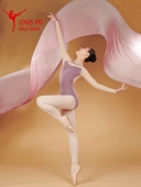 款 路易十四Giselle系列 芭蕾练功连体服可插胸垫肤色网纱拼接长袖