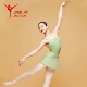 LOUIS 芭蕾舞蹈练功服吊带连体服带纱裙形体服 Giselle XIV with