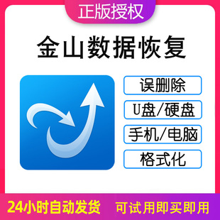 金山数据恢复大师天电脑硬盘u盘手机恢复软件1月激活码服务