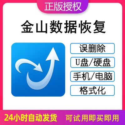 金山数据恢复大师硬盘文件恢复