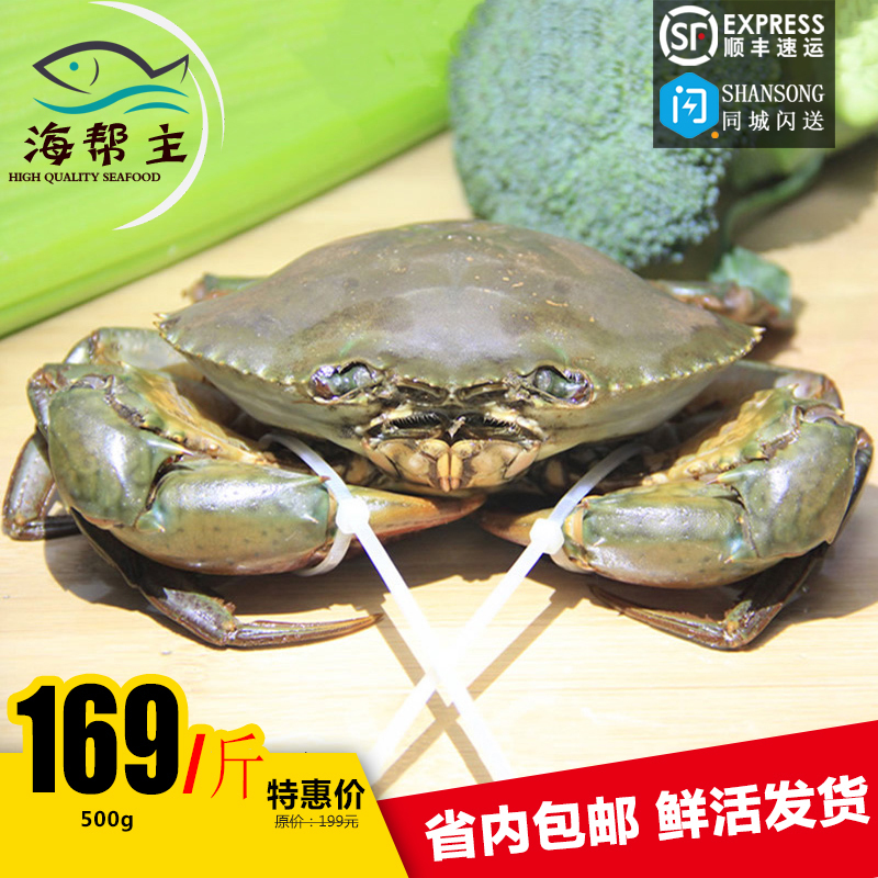 珍味坊海鲜 鲜活海捕野生青蟹 大红膏蟹 红鲟 海蟹 母蟹 顺丰免邮