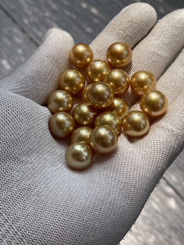 超浓金13～14mm南洋金珠 正圆，无暇，高品质！！ 自然光拍摄