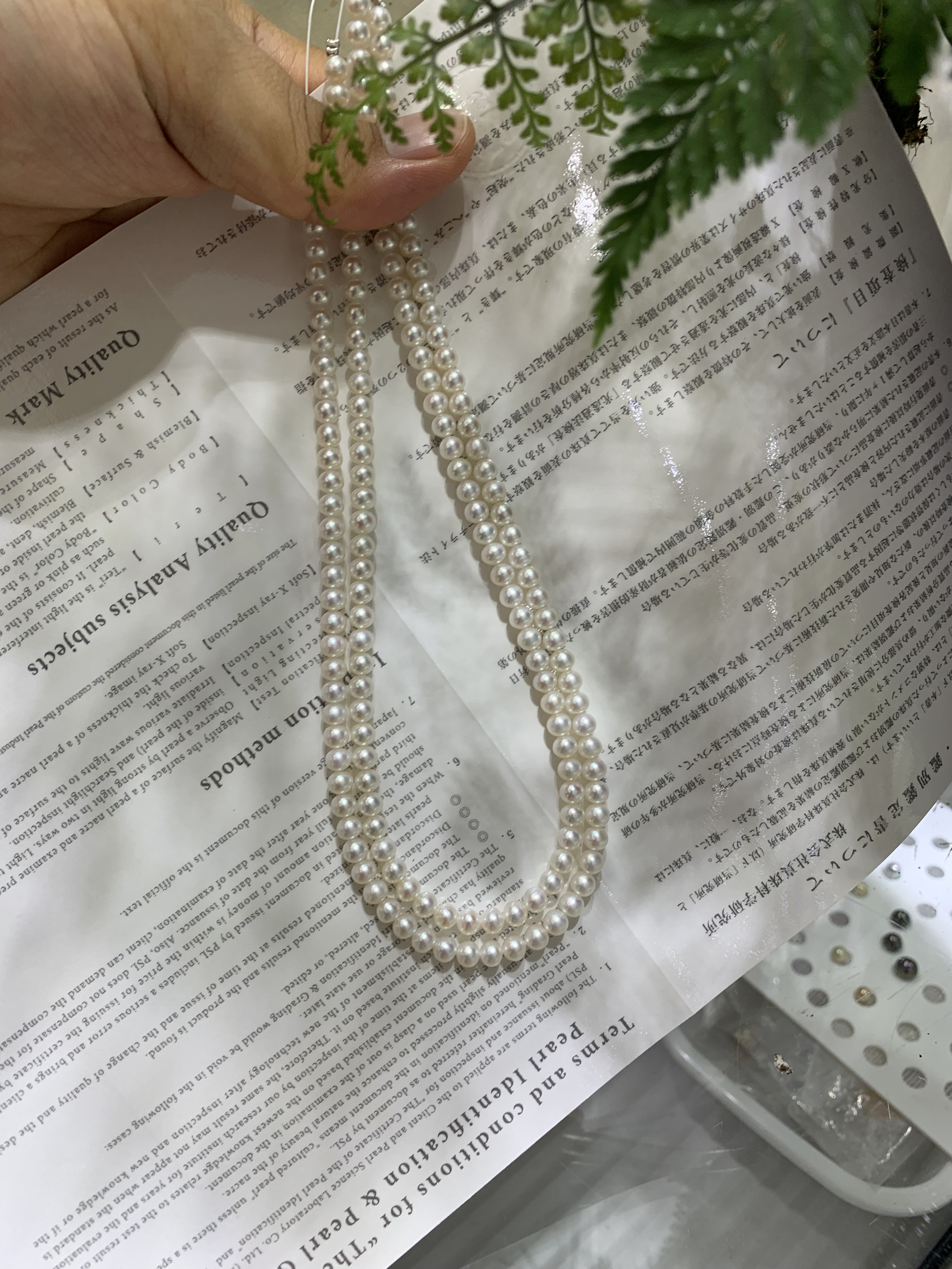 秒杀~ 极光淡水5~5.5串珠项链小米珠项链