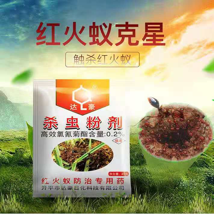 达豪红蚂蚁药火红蚂蚁药灭蚁清家用驱虫红蚂蚁专用药