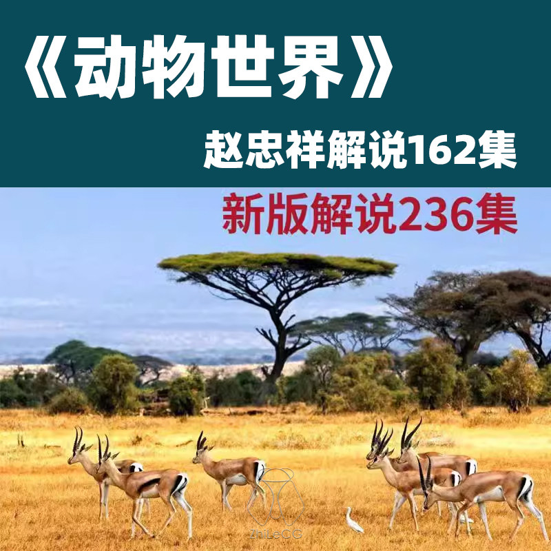 动物世界 赵忠祥 398集 纪录片 旧版解说 高清视频观看 海底世界