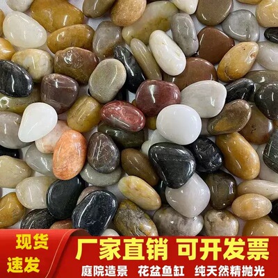 天然原生溪水沙砂鱼乌龟缸造景底沙鹅卵石雨花小石头彩色水族装饰