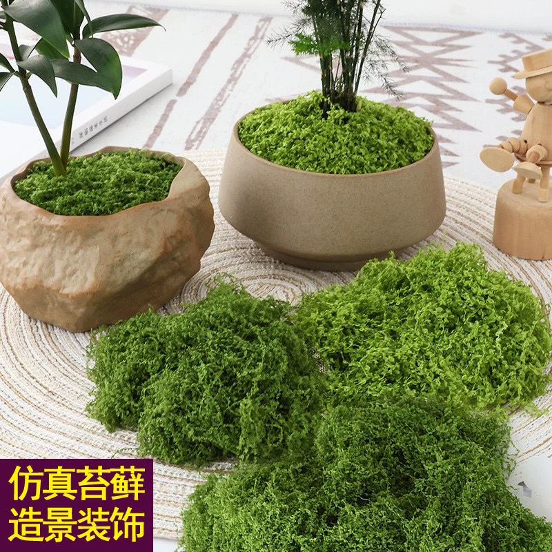 仿真苔藓丝毛线苔藓盆景铺面绿植装饰丝状假苔藓diy手工造景装饰
