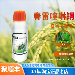 先农细消春雷·喹啉铜悬浮剂细菌性角斑病杀菌剂黄瓜农药春雷霉素