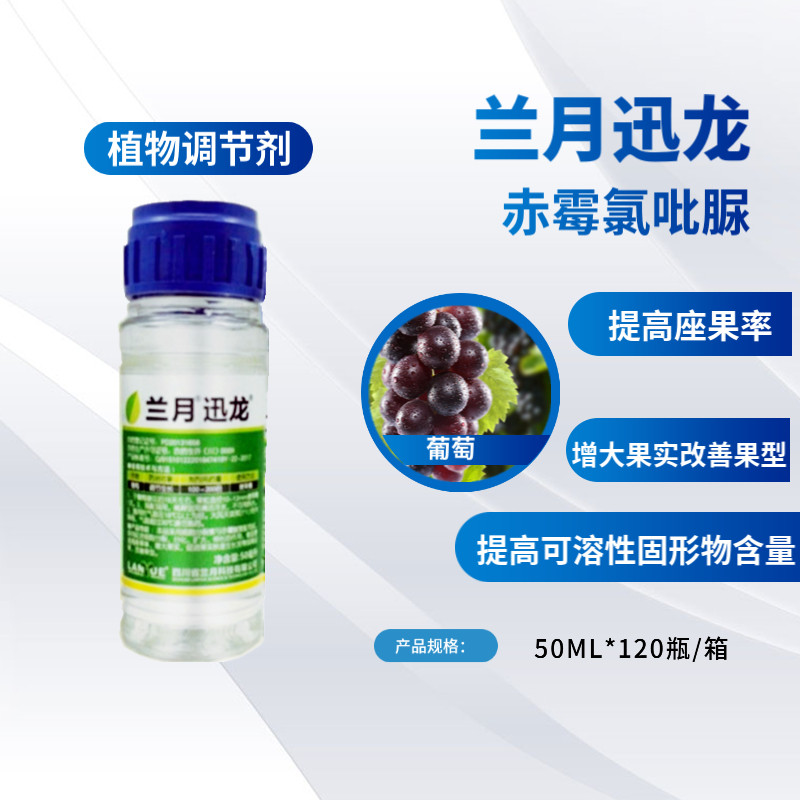 兰月迅龙赤霉氯吡脲50ml葡萄坐果药保花保果防落素膨大剂农药生长