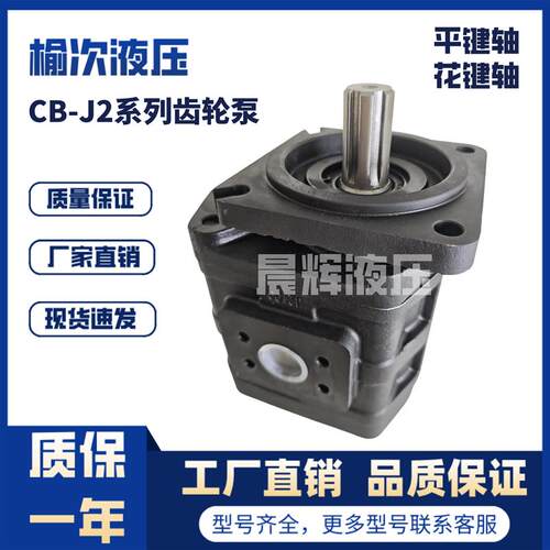 新款CB-J2063/2080/2100/2040/2050-F1-1L/2R榆次液压高压齿包邮