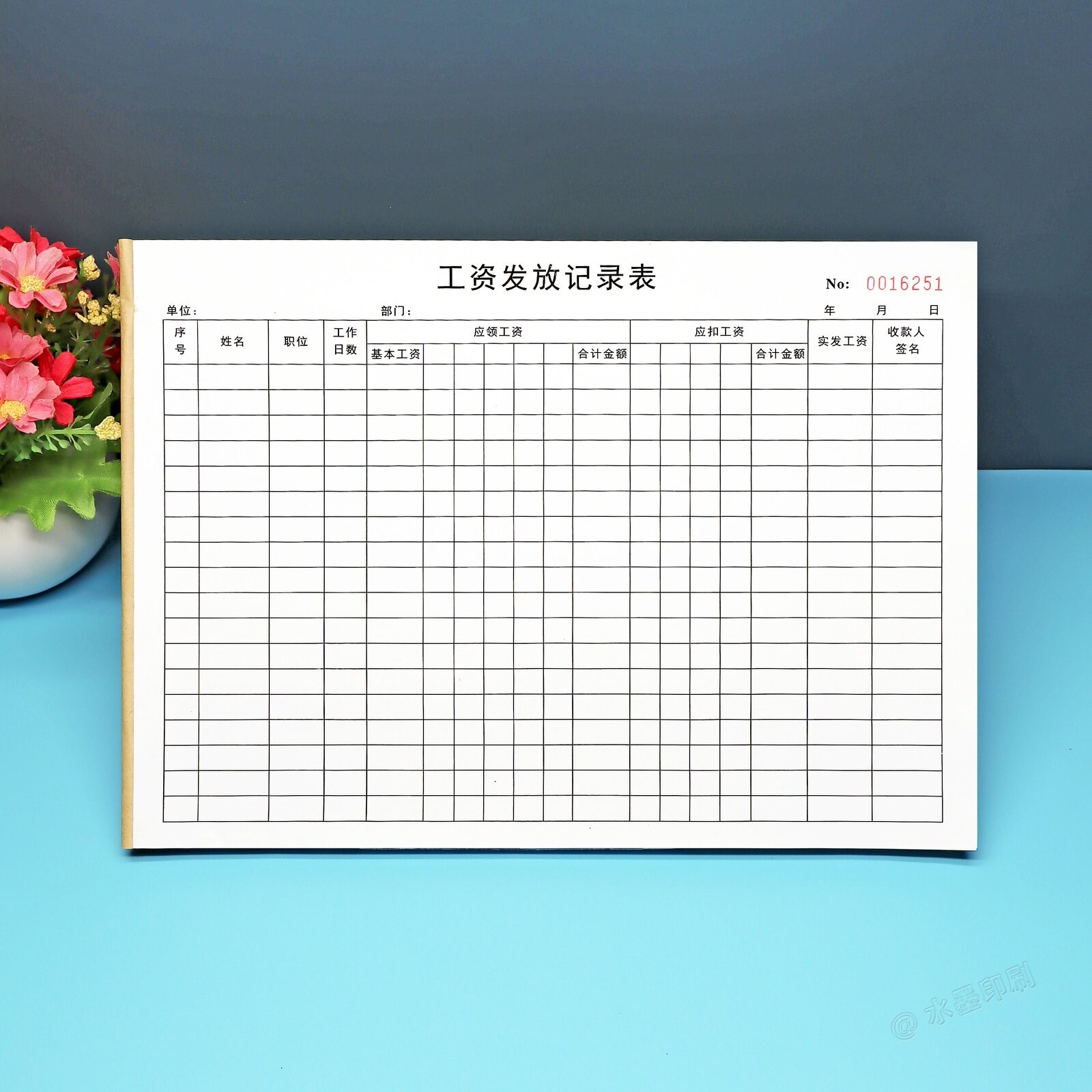 财务会计出纳薪资发放台账A4定制