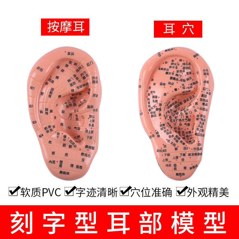 人体针灸 按摩穴位 专业美观 字迹清晰