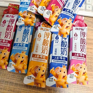 趣之源厚酸奶条装多种水果口味生牛乳营养网红儿童酸奶零食