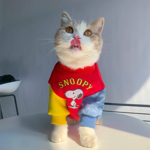 宠物猫咪狗狗衣服潮牌拼色小狗卫衣春秋中小型犬防掉毛服装