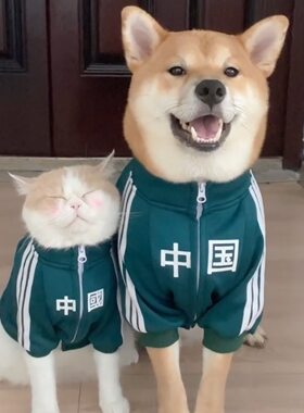 宠物空气棉中小型防掉毛狗狗衣服