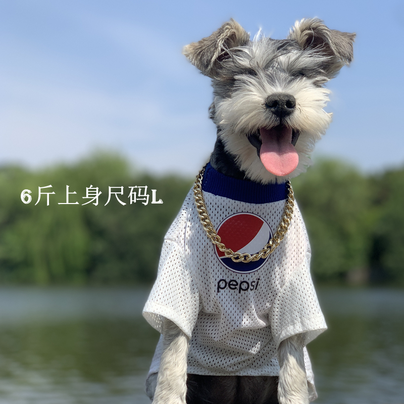 宠物潮牌猫咪衣服夏季薄款狗狗网眼透气防晒衣大型犬金毛萨摩