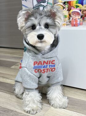 宠物猫咪狗狗春秋衣服 韩版灰色加绒加厚纯棉连帽保暖卫衣 中小大