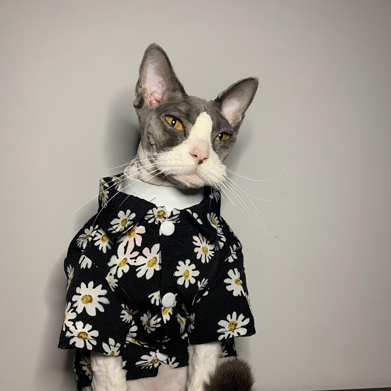 宠物潮牌小雏菊春夏衬衫 猫咪狗狗衣服  防掉毛防晒服大型犬金毛