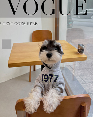 宠物猫咪狗狗秋冬衣服 纯色连帽1977加绒纯棉保暖卫衣 中小大型犬