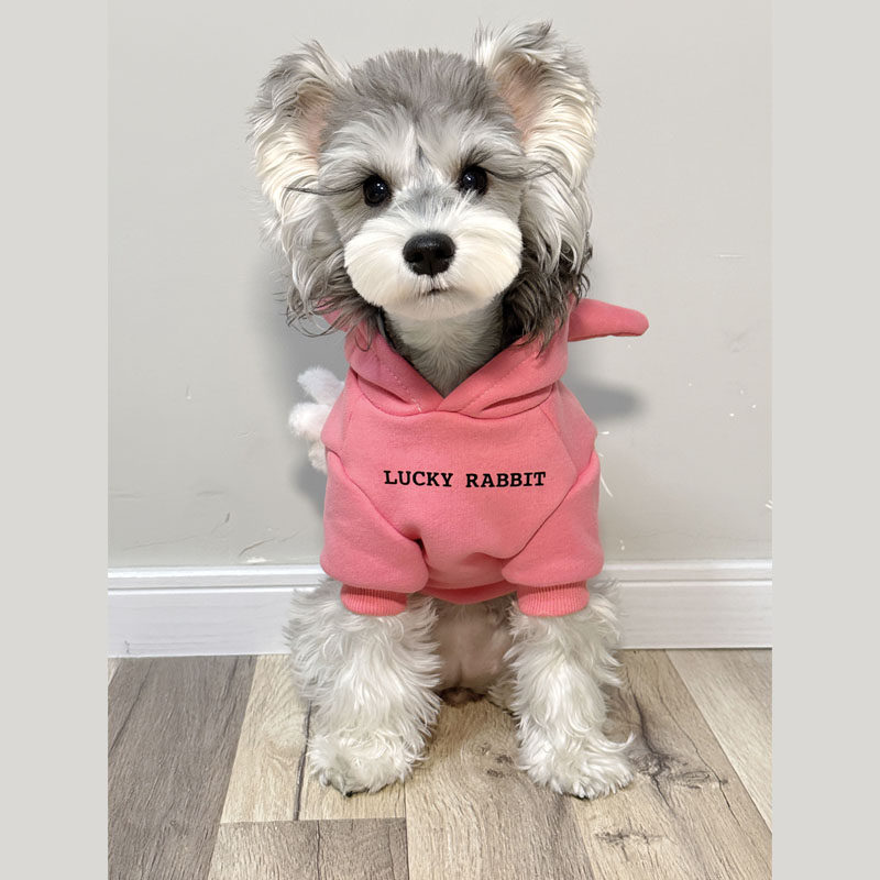 宠物猫咪狗狗衣服  春秋时尚潮流 粉色小兔装连帽卫衣 雪纳瑞泰迪,宠物/宠物食品及用品,猫宠物服装/雨衣（新）,淘宝优惠券,粉丝福利购,淘宝优惠卷