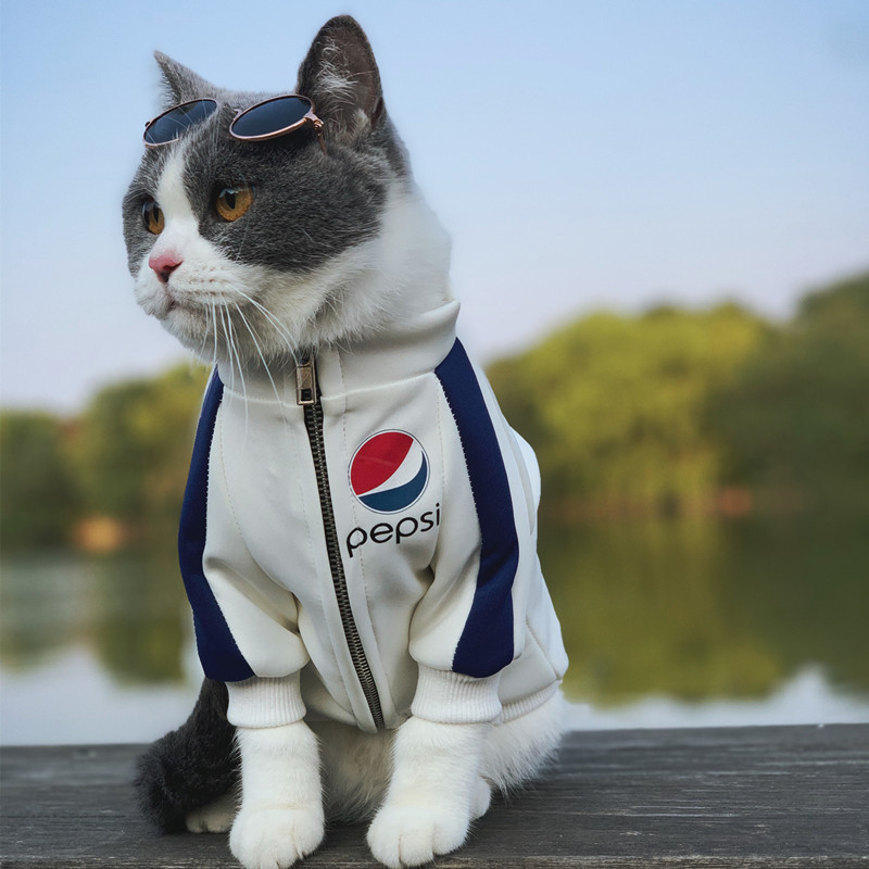 狗狗衣服潮牌外套空气层中小型犬