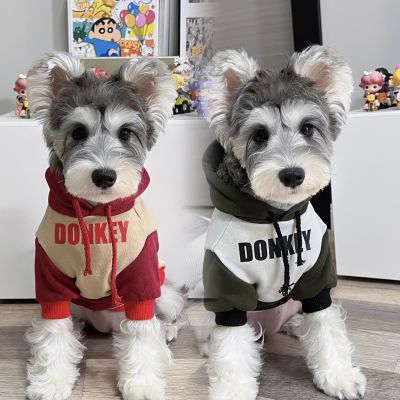 野兽浪漫潮牌拼色纯棉保暖防掉毛