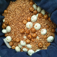 橄欖磨料核桃文玩星月拋光機震動