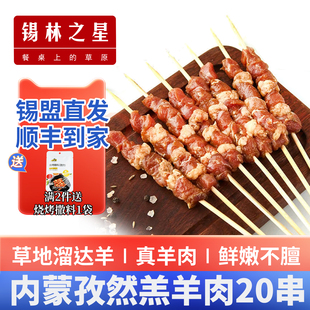 锡林之星孜然五花羊肉串内蒙新鲜羊肉烧烤食材半成品冷冻烤串20串