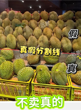假榴莲模型仿真榴莲摆件装饰塑料金枕道具水果店背景拍照
