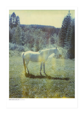 liveart进口瑞典Dan Isaac Walli宝丽来摄影原版装饰画COURSER