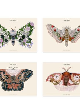 liveart进口荷兰PSTR Studio飞蛾灵感小众原版装饰画Maria Matos