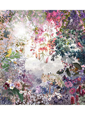 liveart进口英国Rosenstiels*Stefan Jans丛林景色原版装饰画