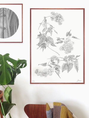 进口瑞典黑白花卉装饰画