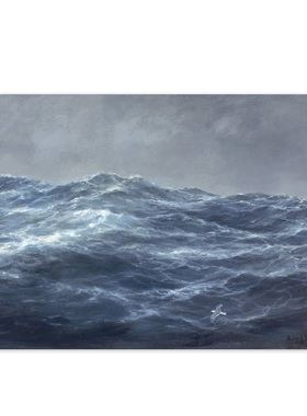 进口奥地利Richard Willis海鸥飞跃海洋蓝色风景经典名画装饰画