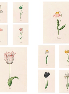 liveart复古风铃花卉经典名画原版装饰画Magdelena Rosina Funck