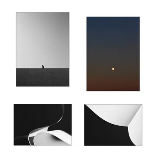 liveart 进口丹麦p&f 黑白概念摄影艺术原版装饰画Theis Bothmann