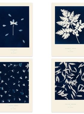 liveart进口荷兰PSTR Studio蓝色植物Natalie Michele装饰画