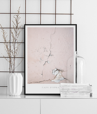 进口瑞典粉色墙壁装饰画芯