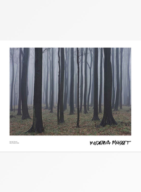 liveart 进口瑞典moderna museet 森林 Forest 原版装饰画海报