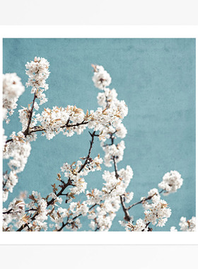 liveart德国艺术家Mareike 春季花朵Spring蓝色原版装饰画海报