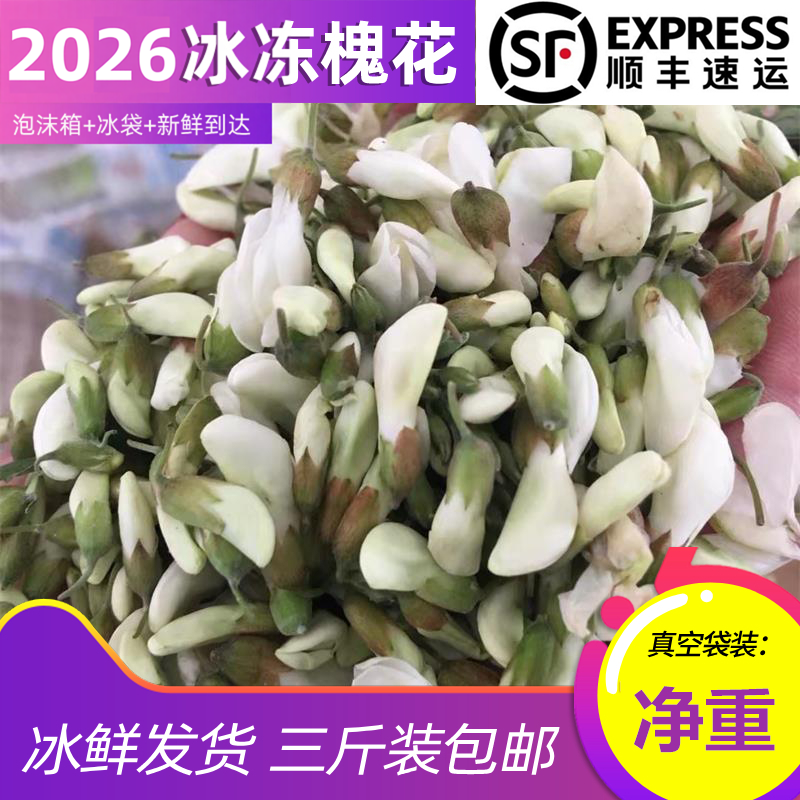 2026新鲜洋槐花冰冻槐花嫩槐花骨朵蒸菜野菜顺丰包邮冷冻发货顺丰